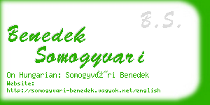 benedek somogyvari business card